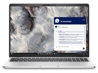 Dell Pro - Notebook - 14&quot;